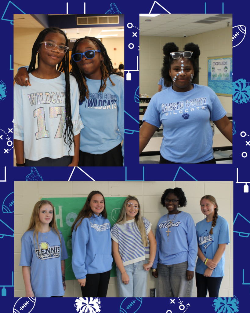 Wildcat spirit pics