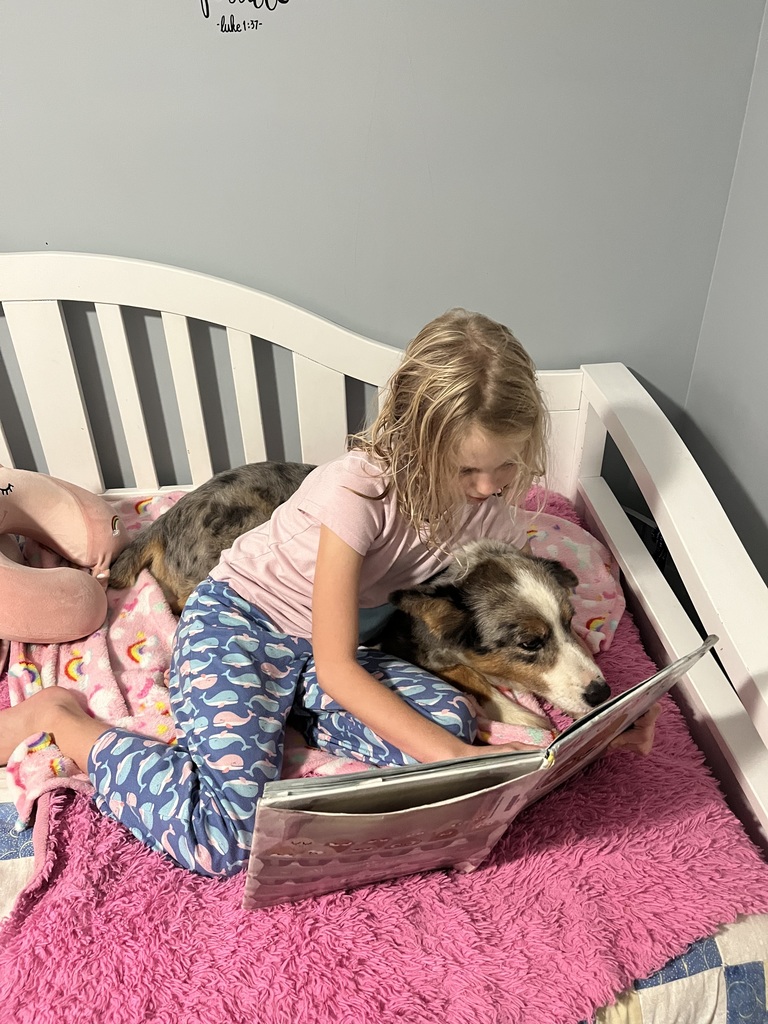 Girl reading to dog