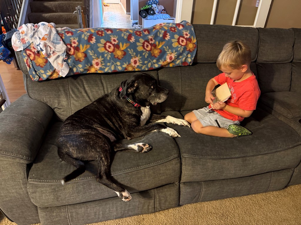 Boy reading to dog