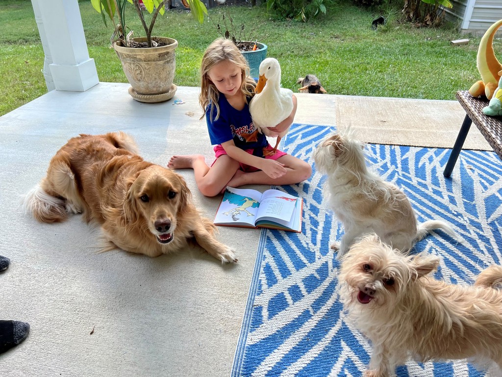 Girl reading to animals