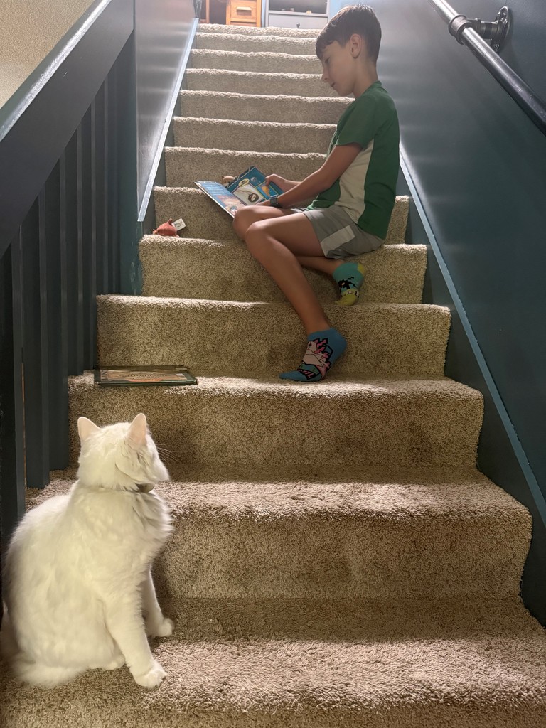 Boy reading to cat