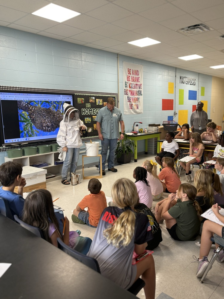 learning about bees