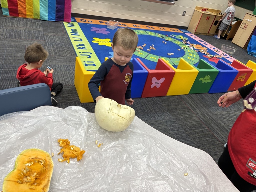 exploring pumpkins