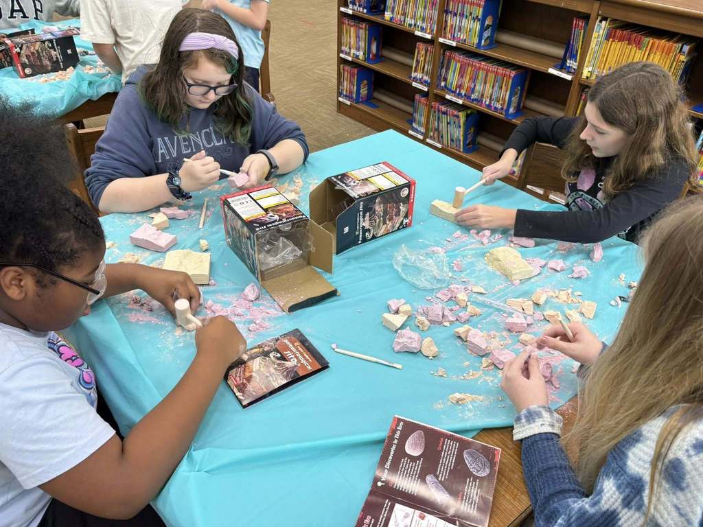students digging through the rock