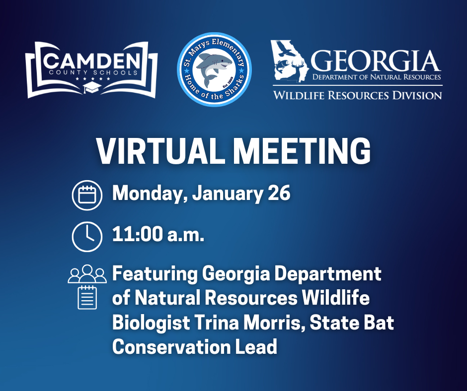 SMES Virtual Meeting