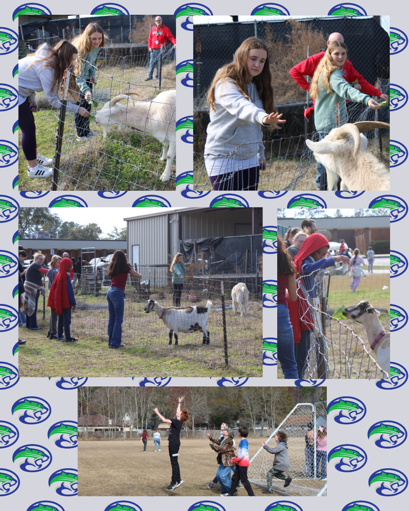 Q2 Incentive day pictures