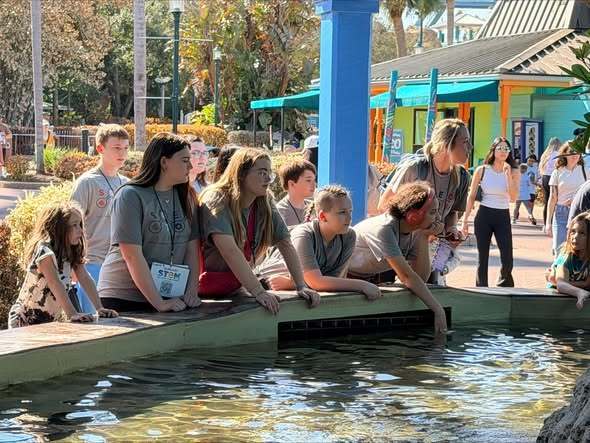 students at the touch water area trying to touch and look at the animals