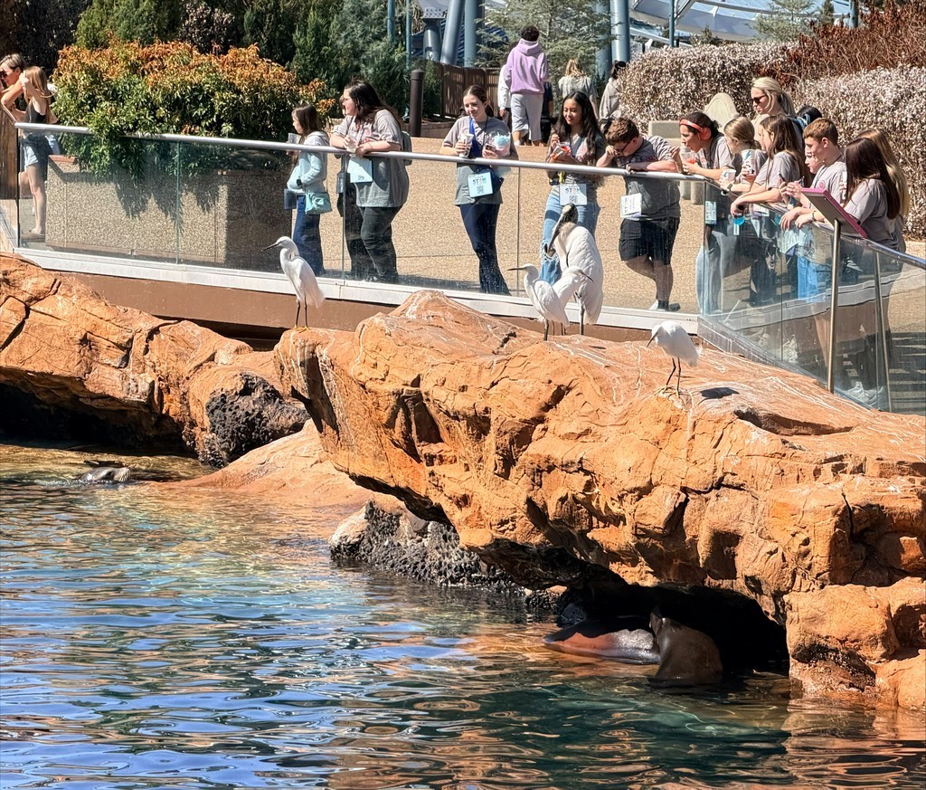 students overlooking water and animals