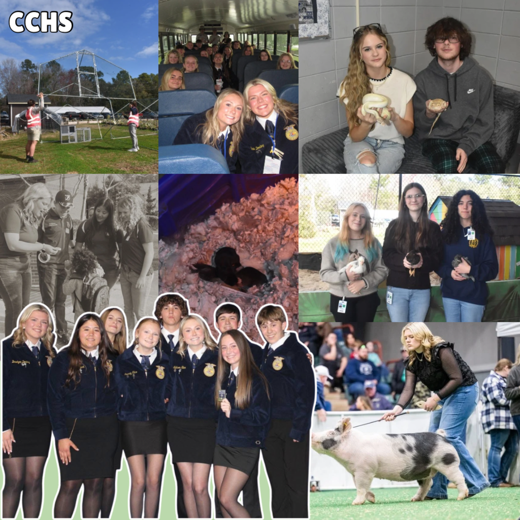 CCHS FFA