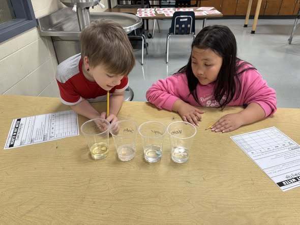 students doing assignment