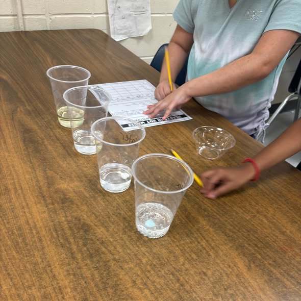 students doing assignment