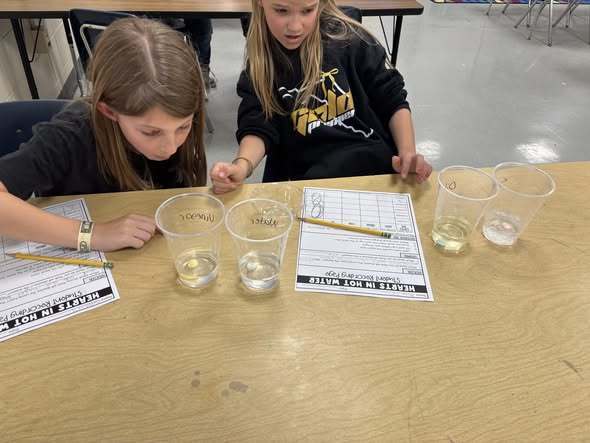 students doing assignment