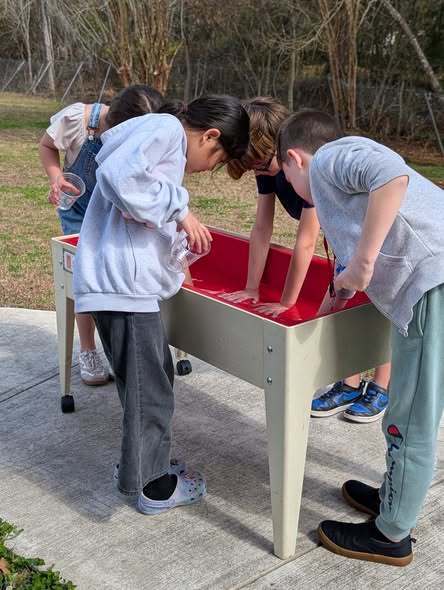 students doing experiment