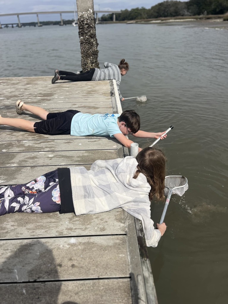 students collecting thins at jekyll island