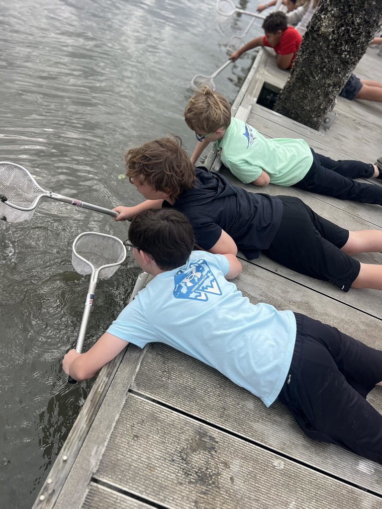 students collecting thins at jekyll island