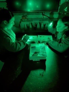 Light Lab pictures