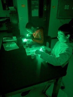 Light Lab pictures