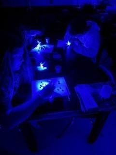 Light Lab pictures