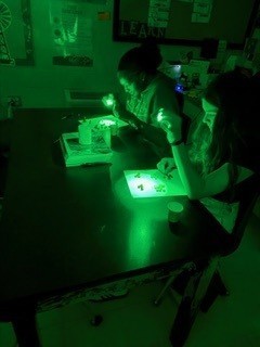 Light Lab pictures