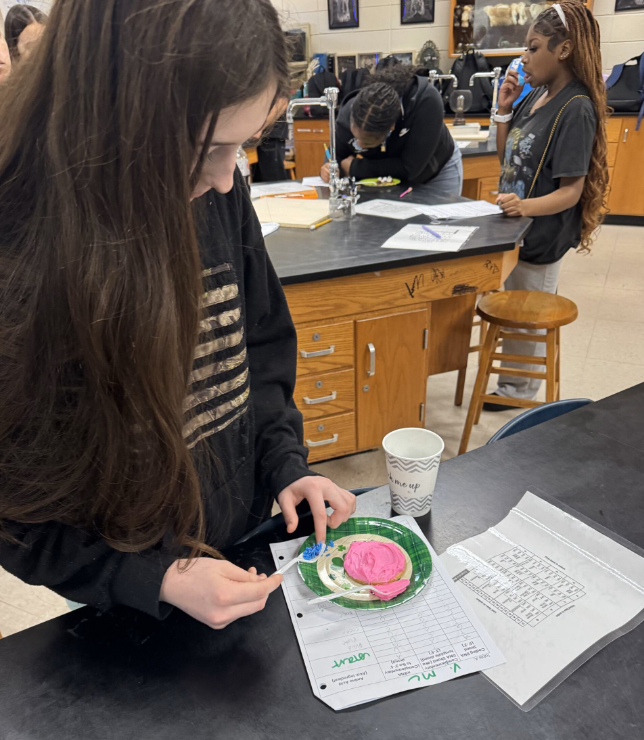 protein synthesis lab