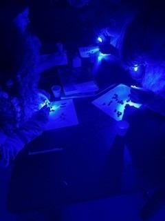 students doing experiment