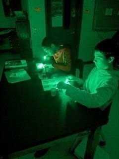 students doing experiment