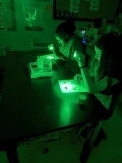 students doing experiment