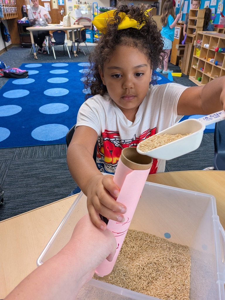 students doing project