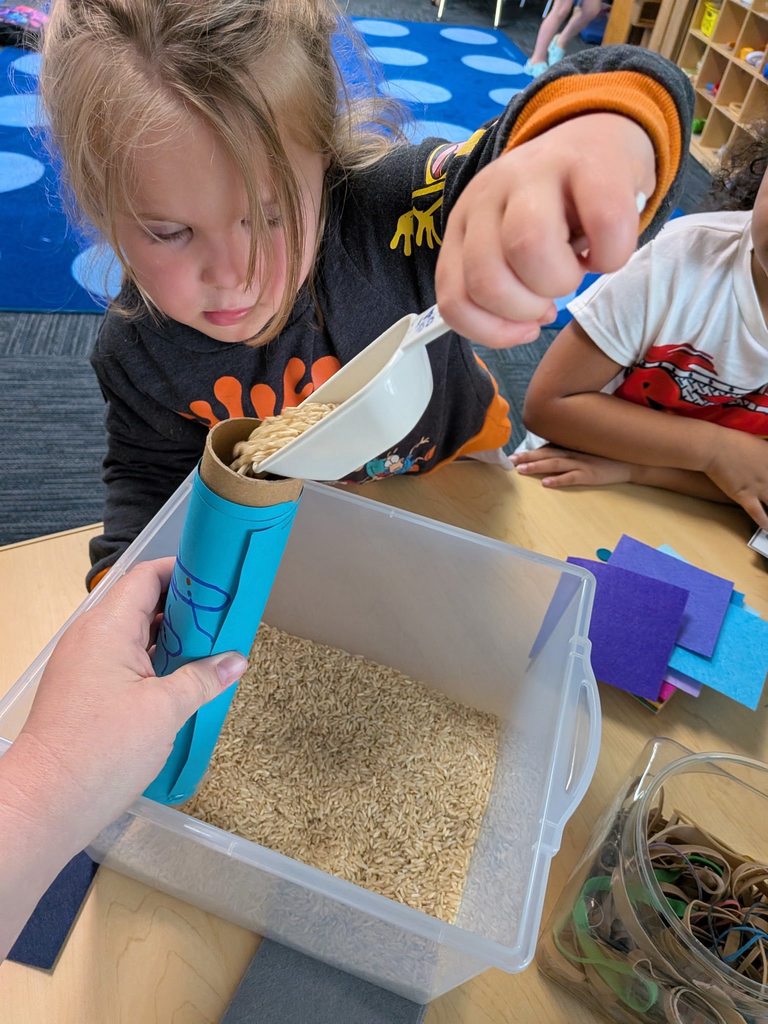 students doing project