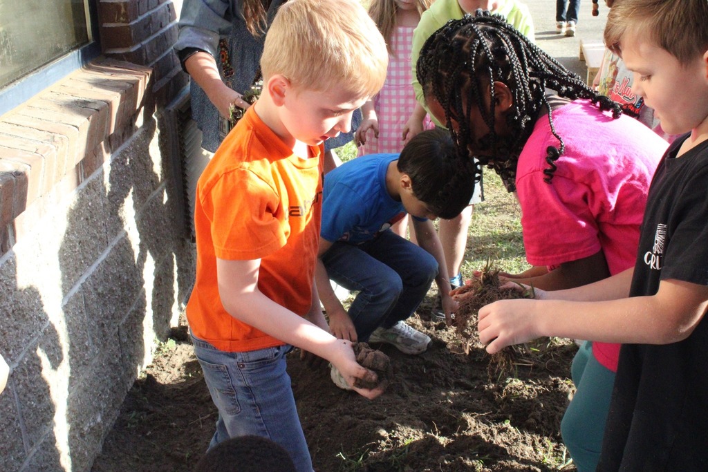 students digging weeds