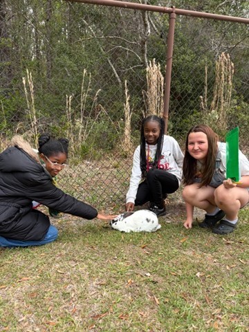 5th graders completed an egg hunt outdoors