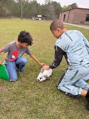 students doing their work