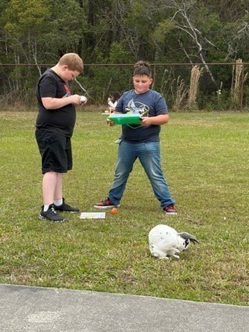 students doing their work