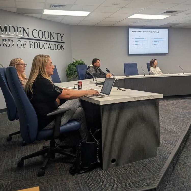 attendees during meeting