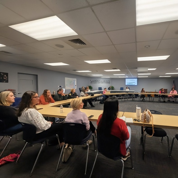 attendees during meeting