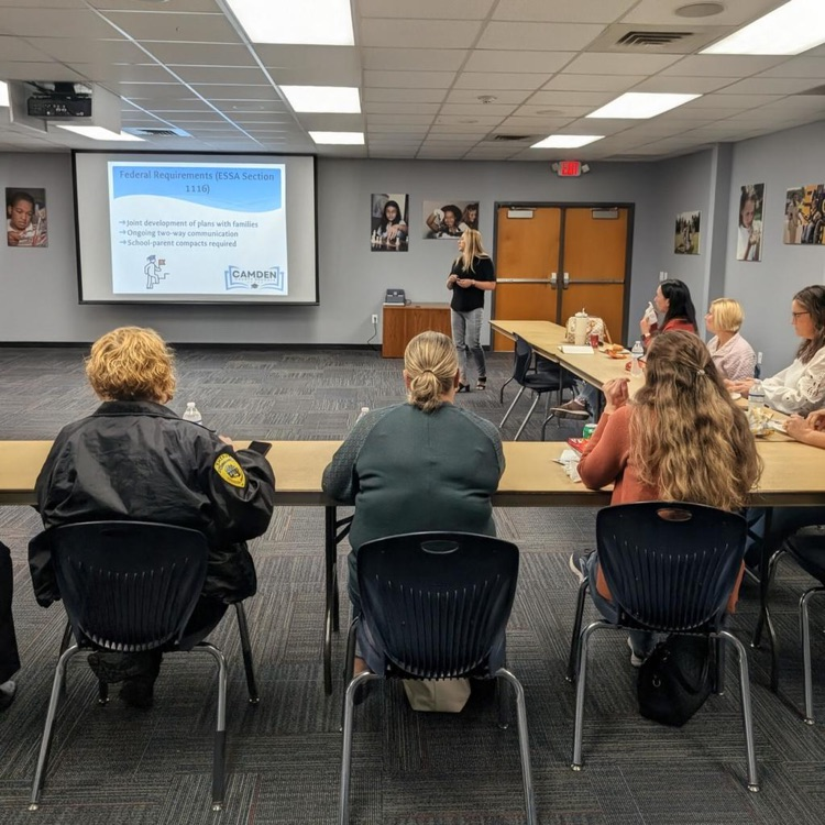 attendees during meeting