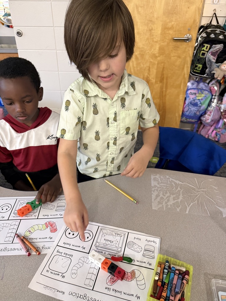 students doing experiment