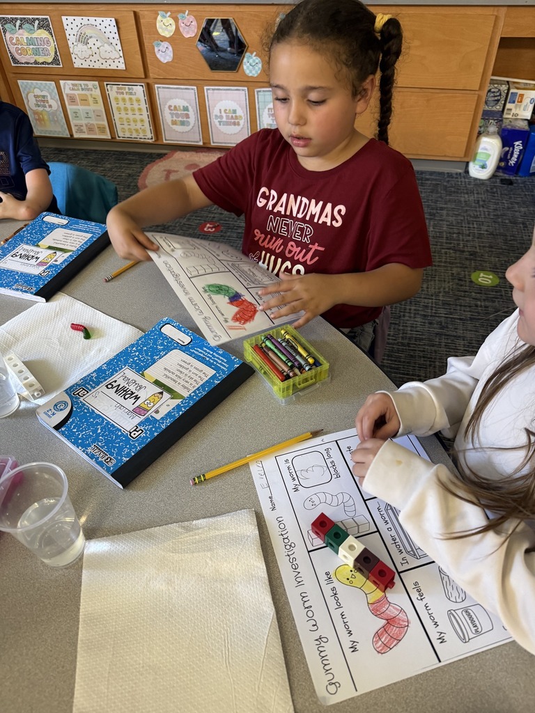 students doing experiment
