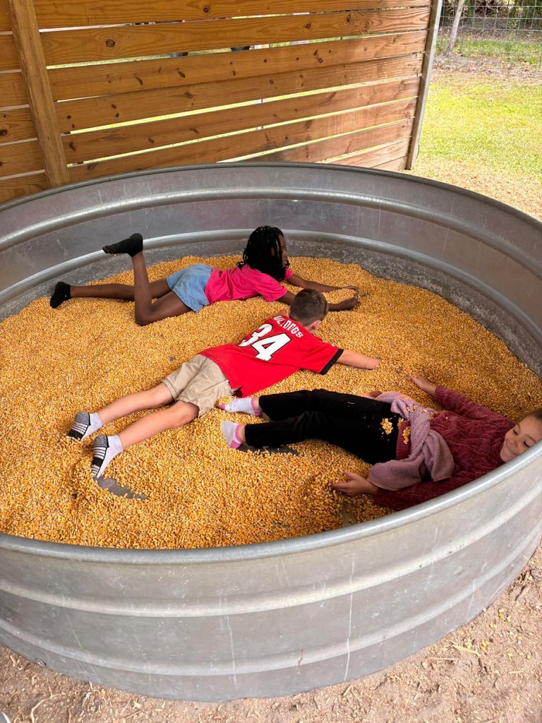 first grade field trip