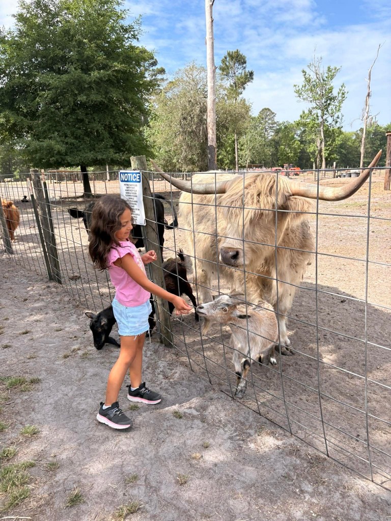first grade field trip
