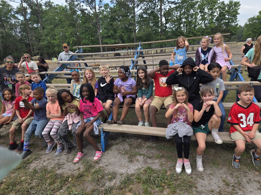 first grade field trip