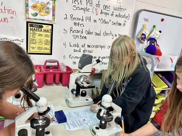 students doing experiment