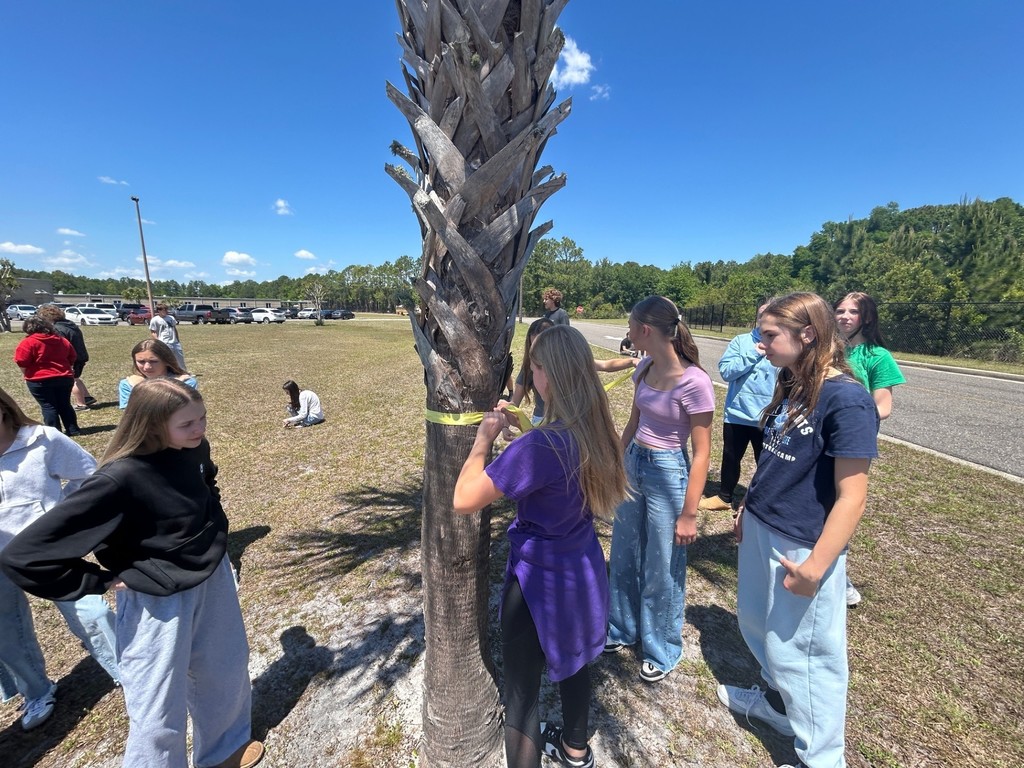 Students tying a yellow ribbon around a tree.