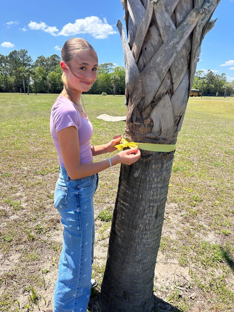 Student tying a yellow ribbon around a tree.