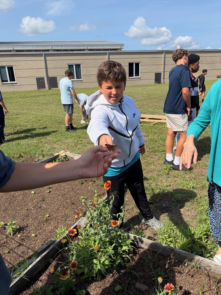 7th grade butterfly garden and release pictures.