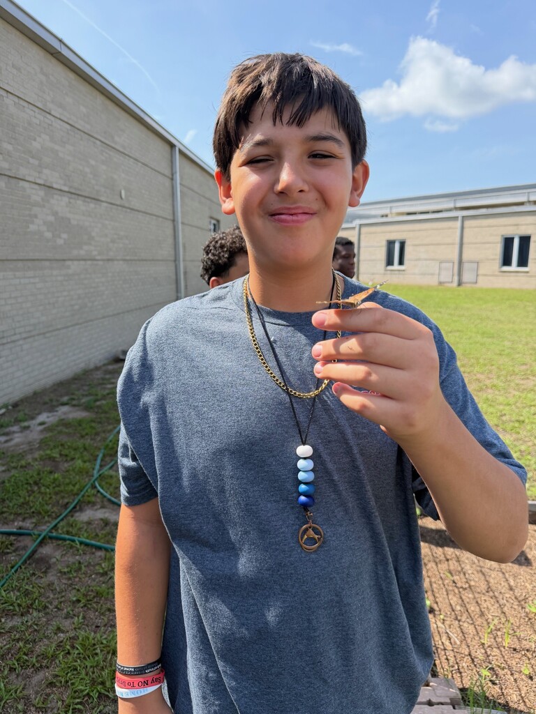 7th grade butterfly garden and release pictures.