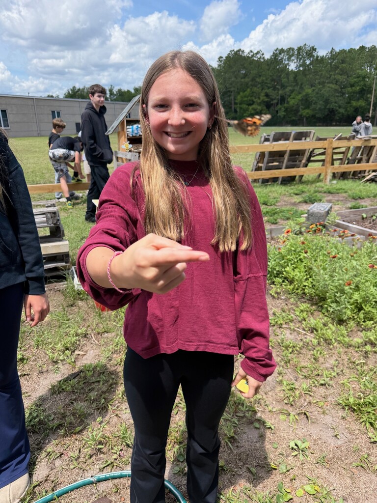 7th grade butterfly garden and release pictures.