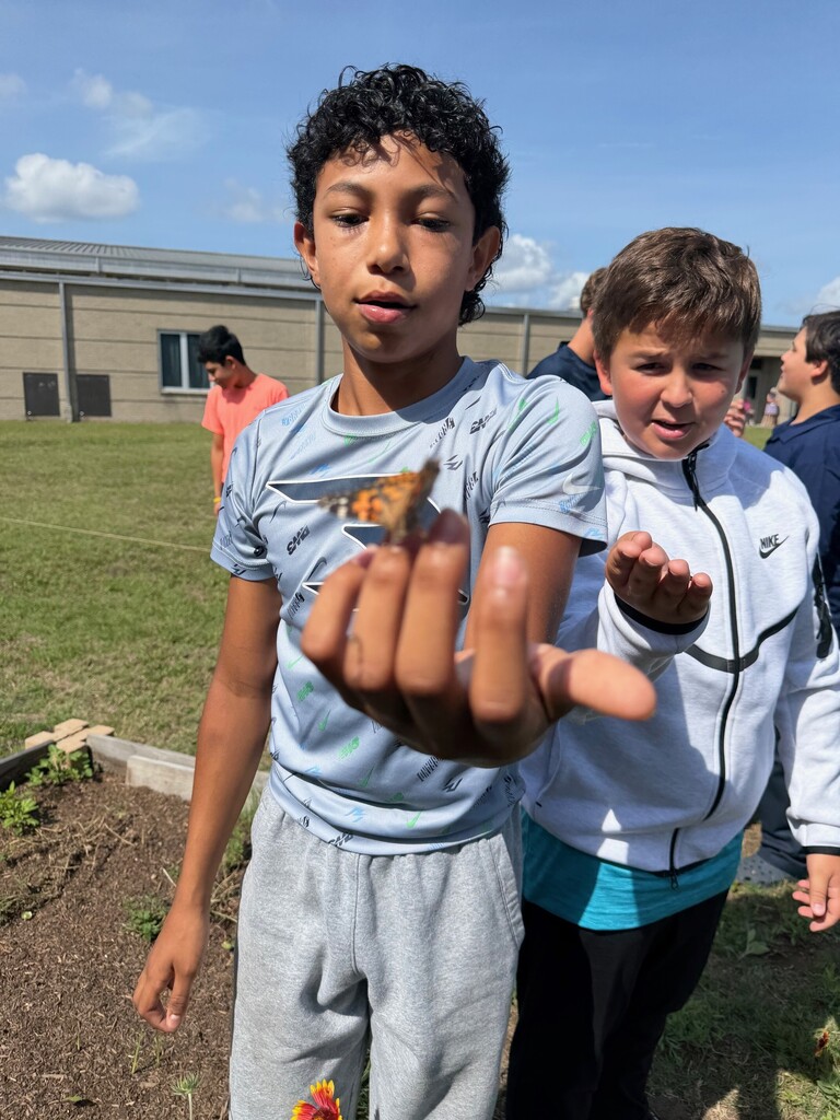 7th grade butterfly garden and release pictures.