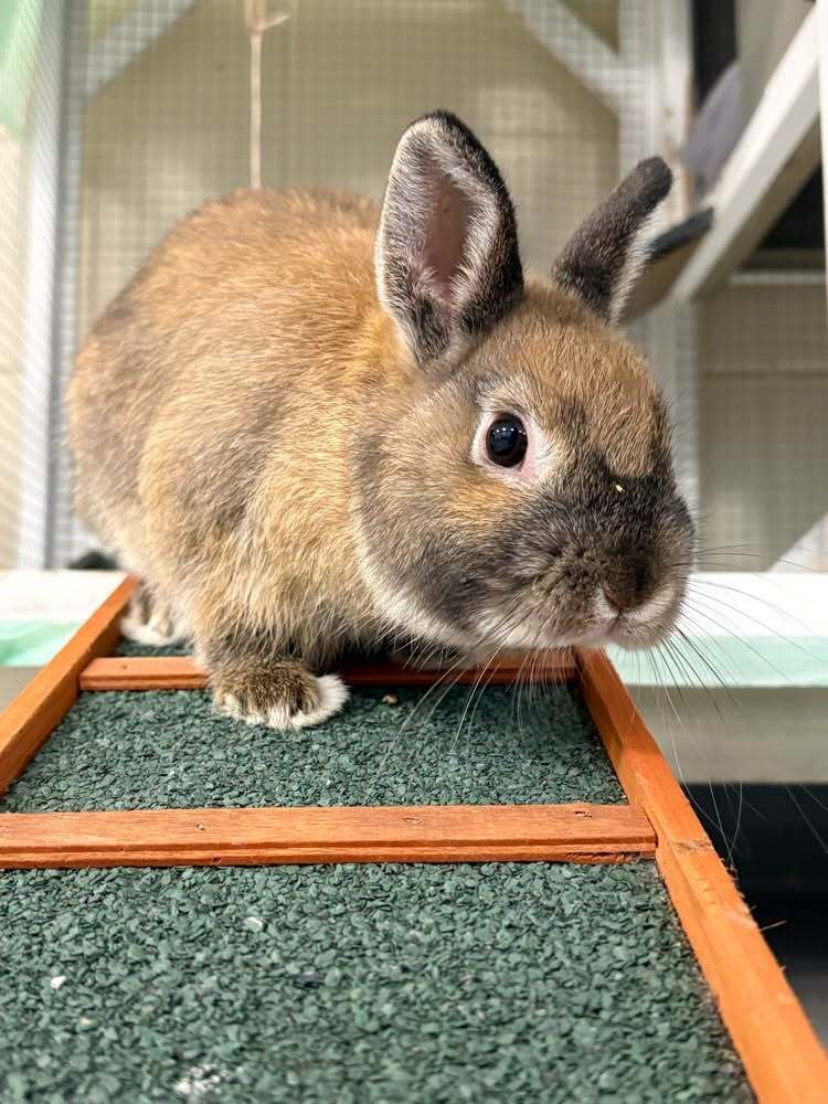 Tater - the newest member of the WES Ag class family