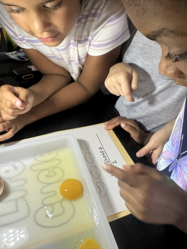Students observing the inside of an egg